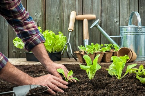Icon indicating user control and cookie settings for Gardeners at Shepherds Bush