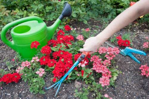 Team of Gardeners Shepherds Bush working on landscape design