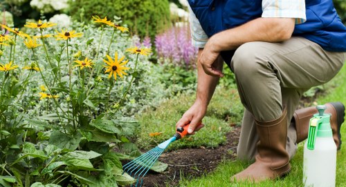 Close-up of a garden area showing plants and tool marks for inspection