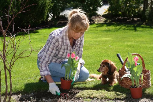 Eco-friendly gardening practices by Gardeners Shepherds Bush